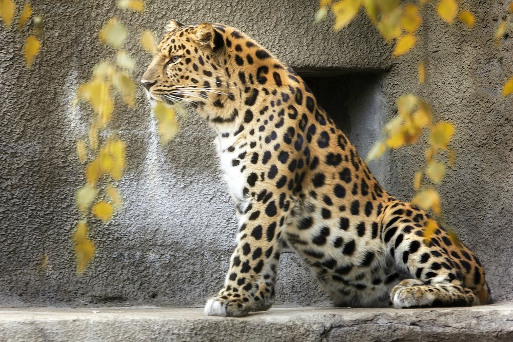 Photograph by Евгения Сафронова