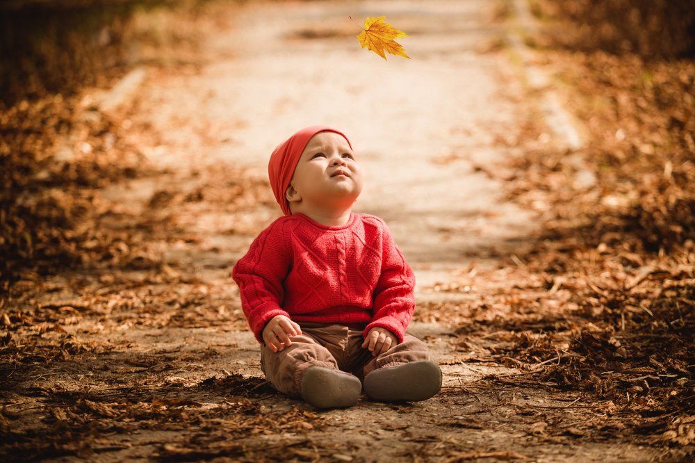 вот и осень