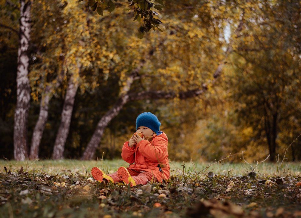 Осенние яблочки