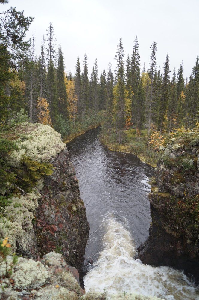 Photograph by Анастасия