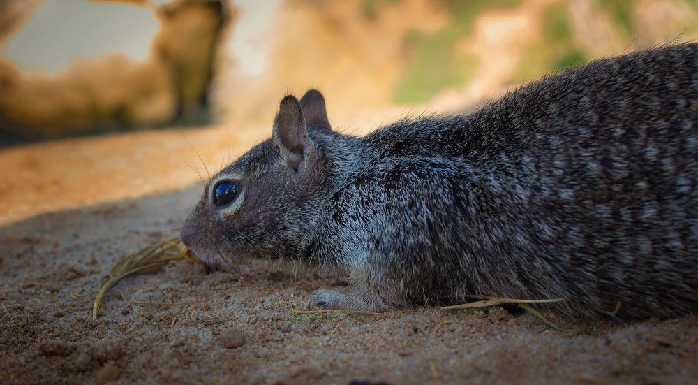 Photograph by Александр Волков