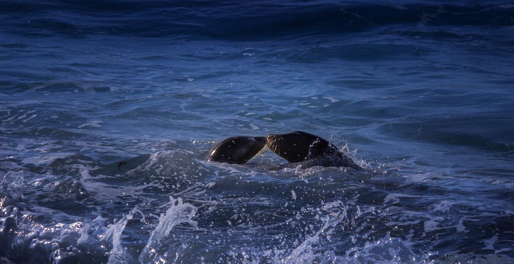 Photograph by Александр Волков