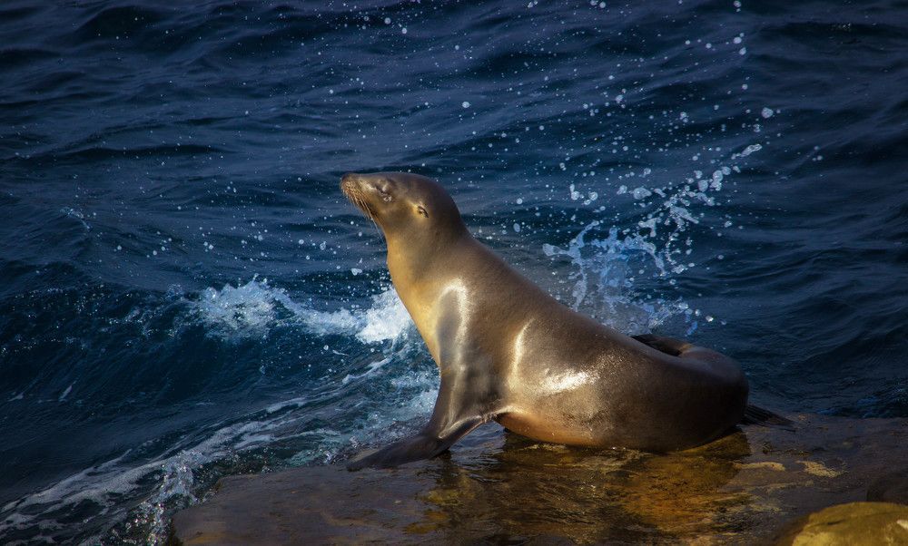Photograph by Александр Волков
