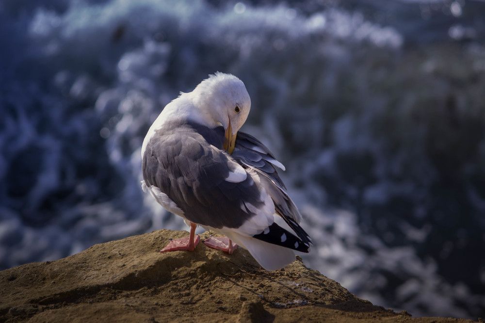 Photograph by Александр Волков