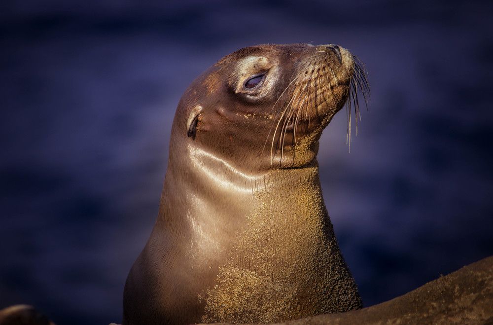 Photograph by Александр Волков