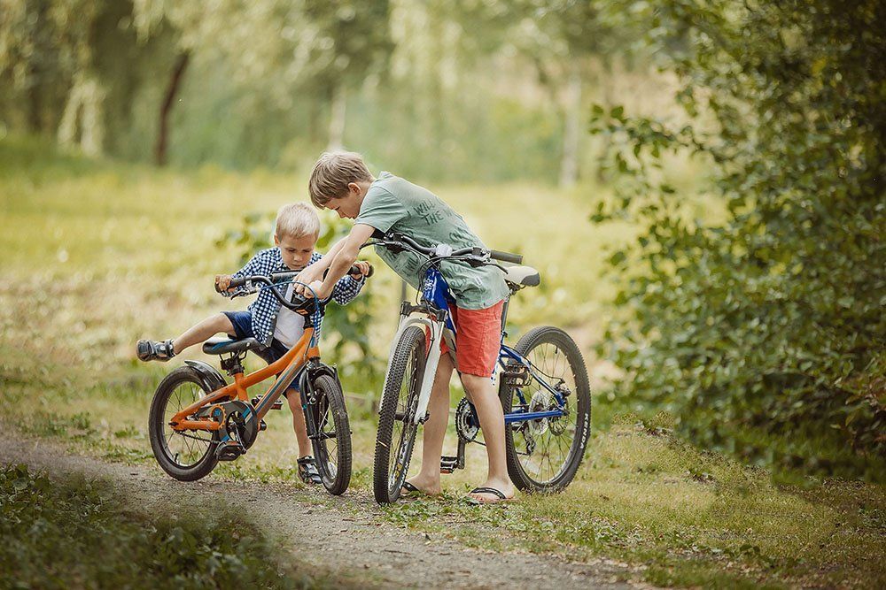 Поддержка старшего брата