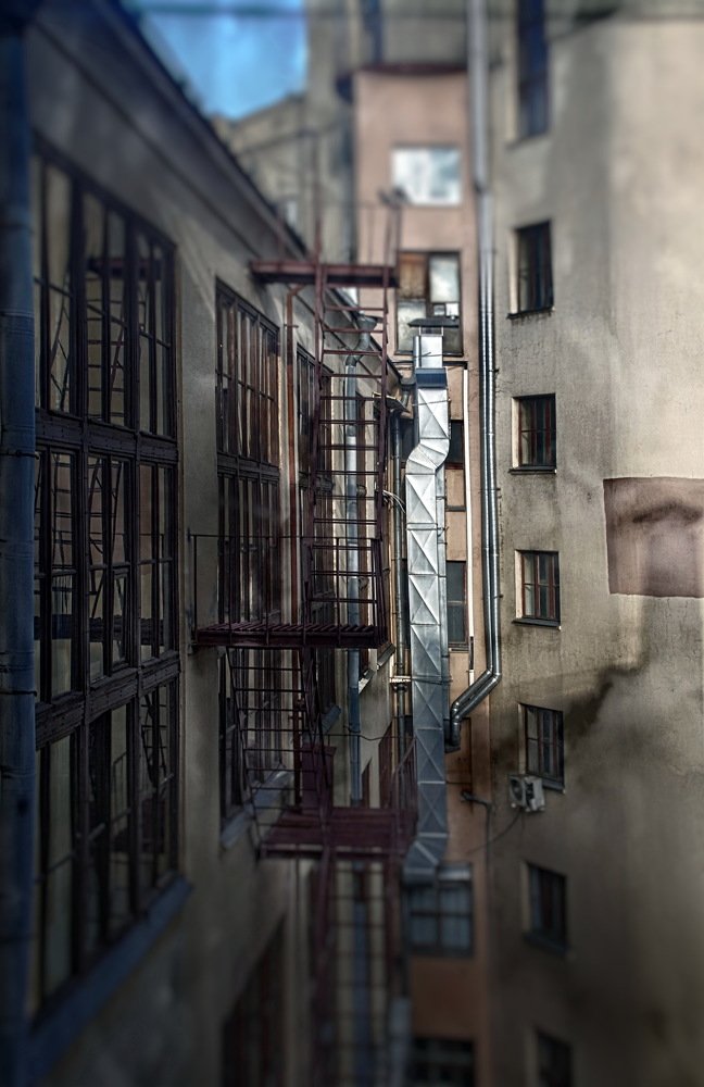 Городские джунгли