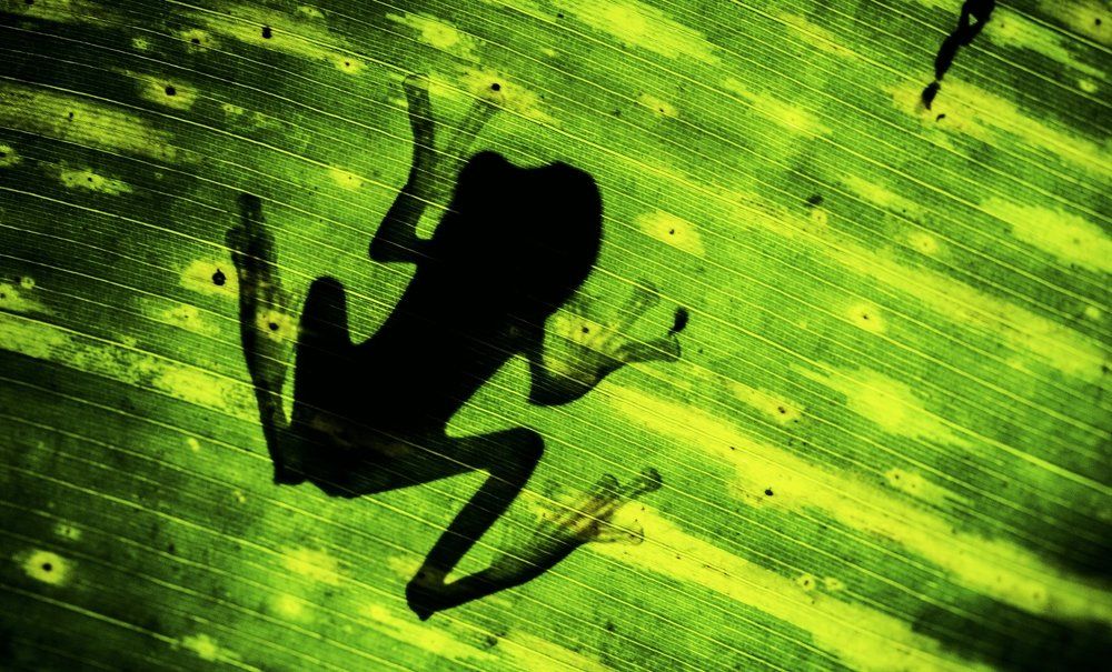 Shadows are Beautiful !!!