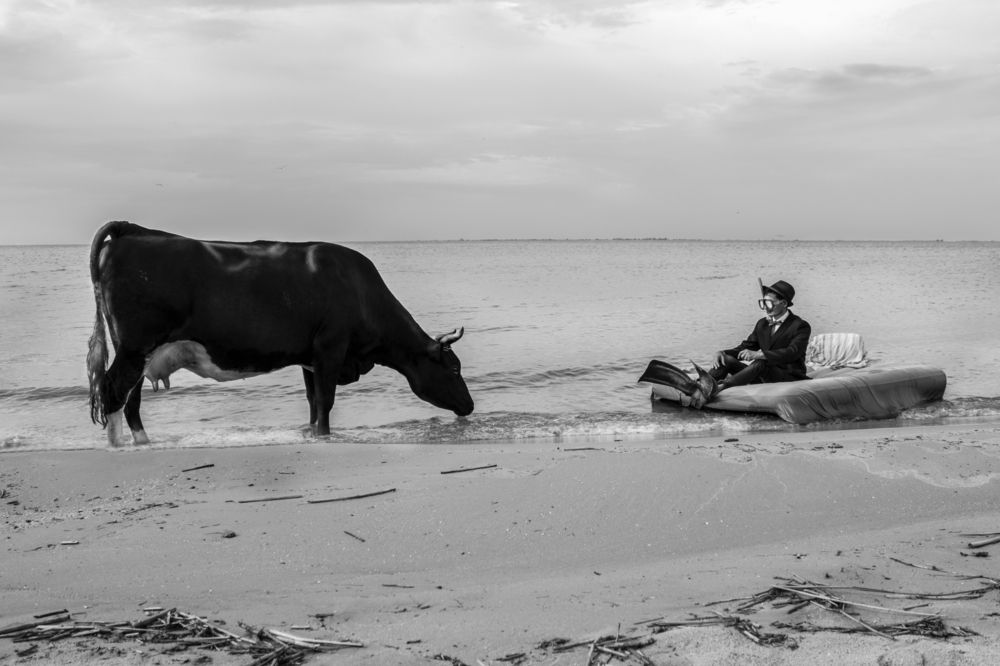 Photograph by Nikitenko Irina