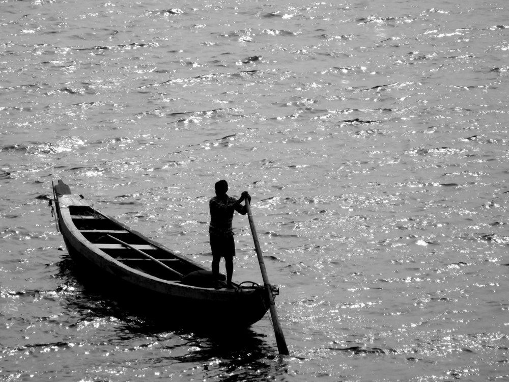 Rowing through life