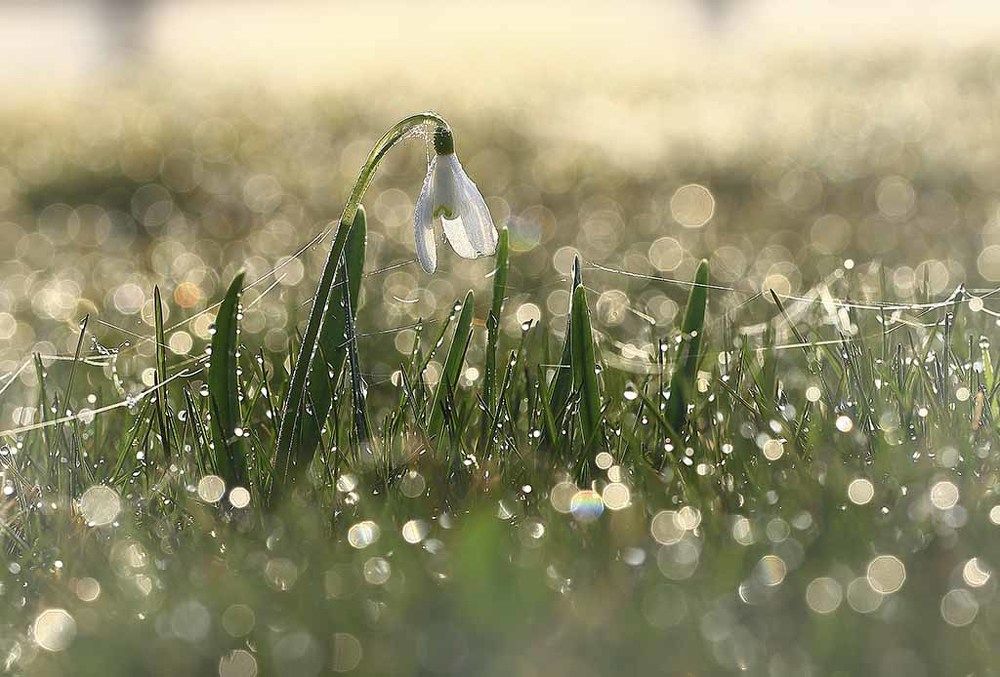 Солнце встало.