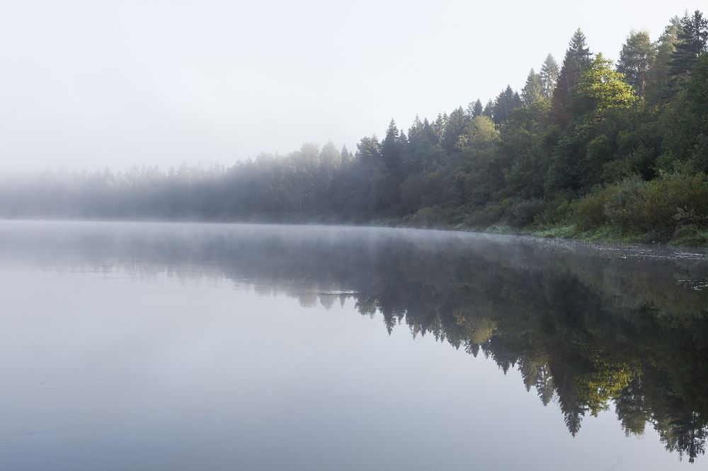 Утренний туман...