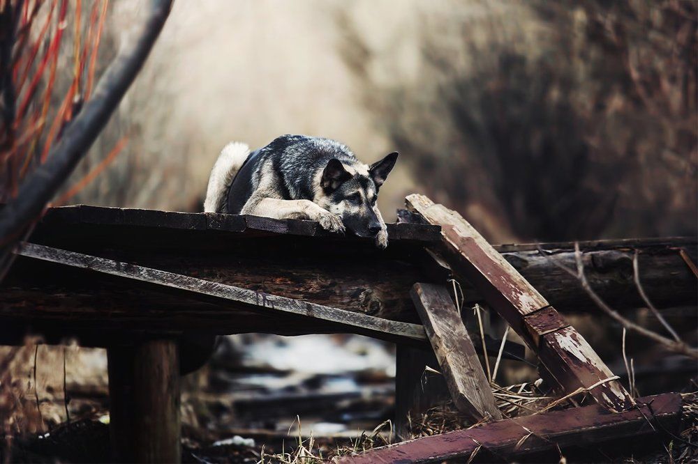 Одиночество