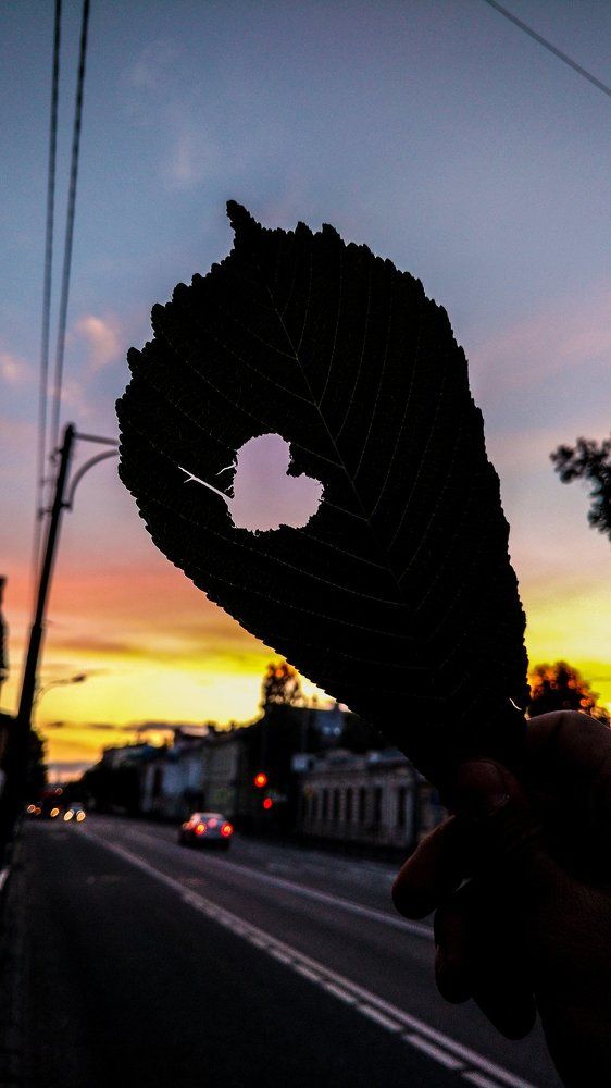 Закатная любовь