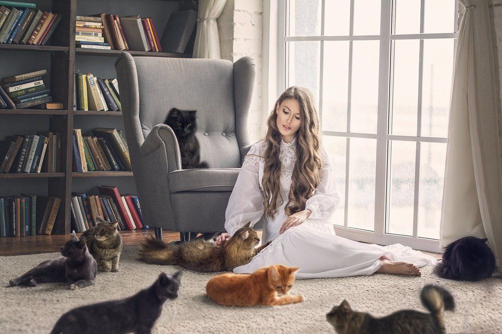 Осенним вечером