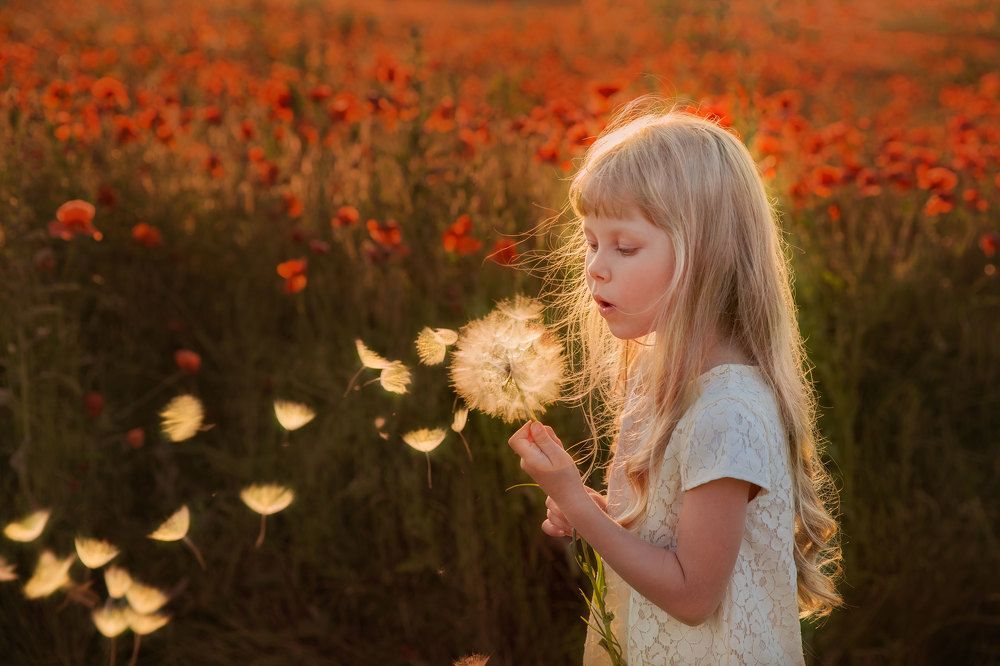 Photograph by Ekaterina