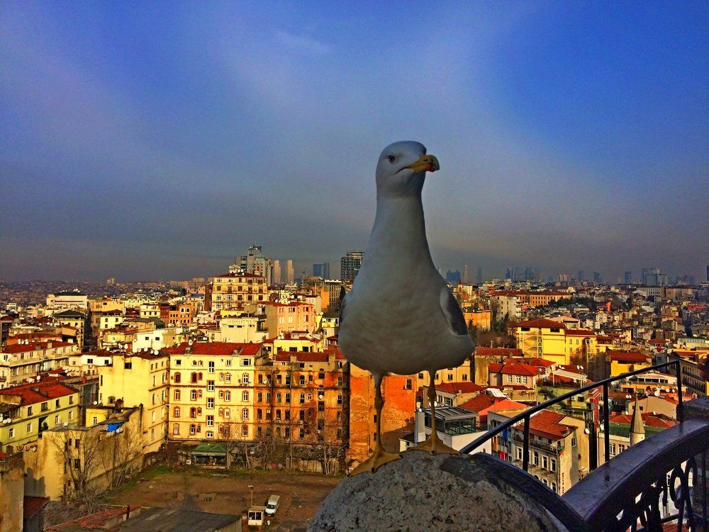 Стамбул, район Бейоглу