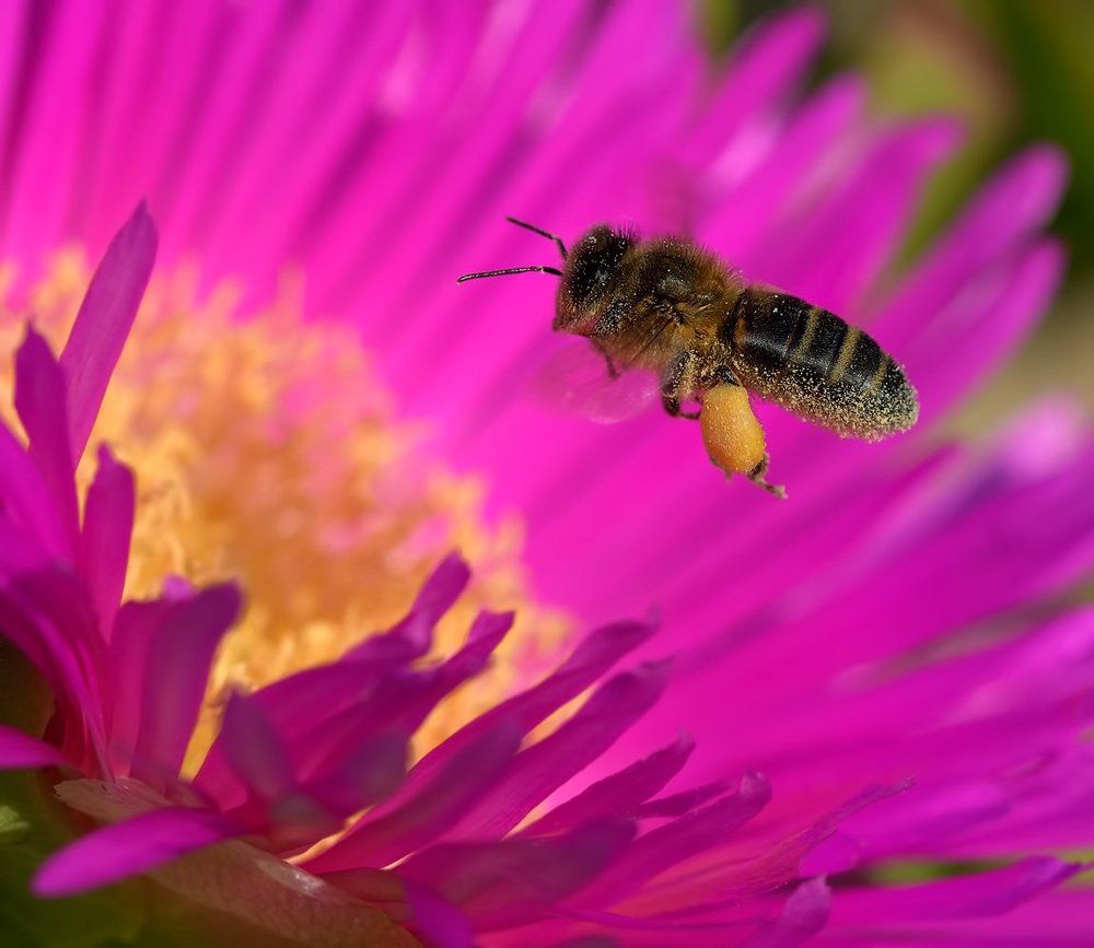 Последний, и домой!