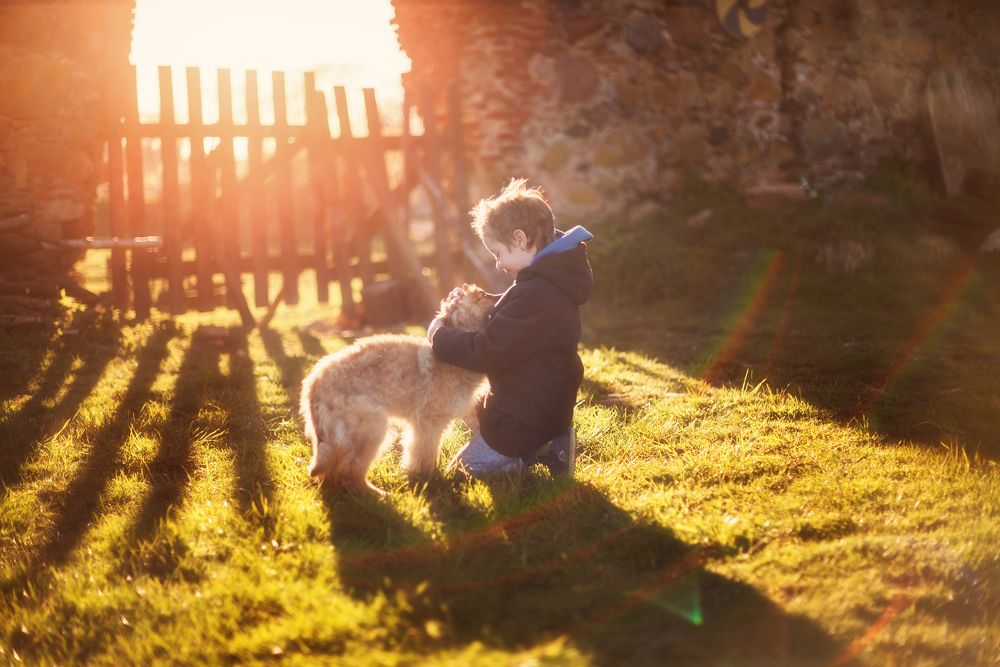 Photograph by Тарасова Ольга