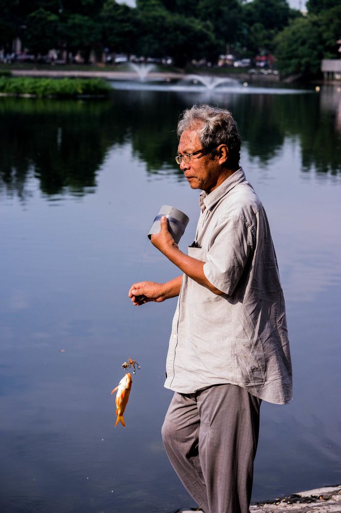 Photograph by nguyen bao khanh