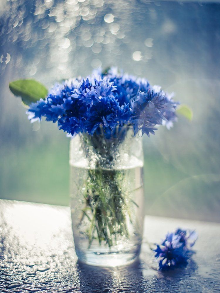 Photograph by Елена Александрова