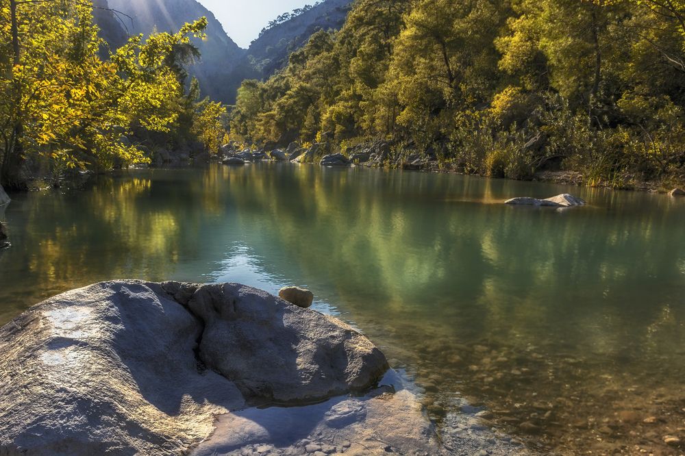 как бегемотик