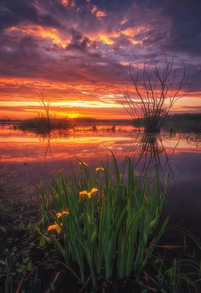 В вечернем огне