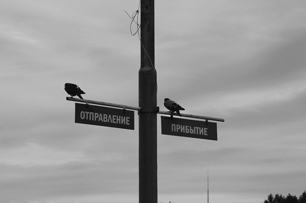 Голубиная почта