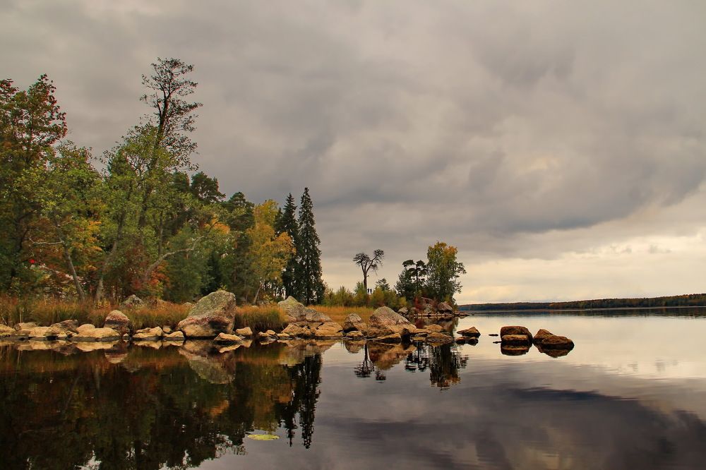 парк Монрепо.