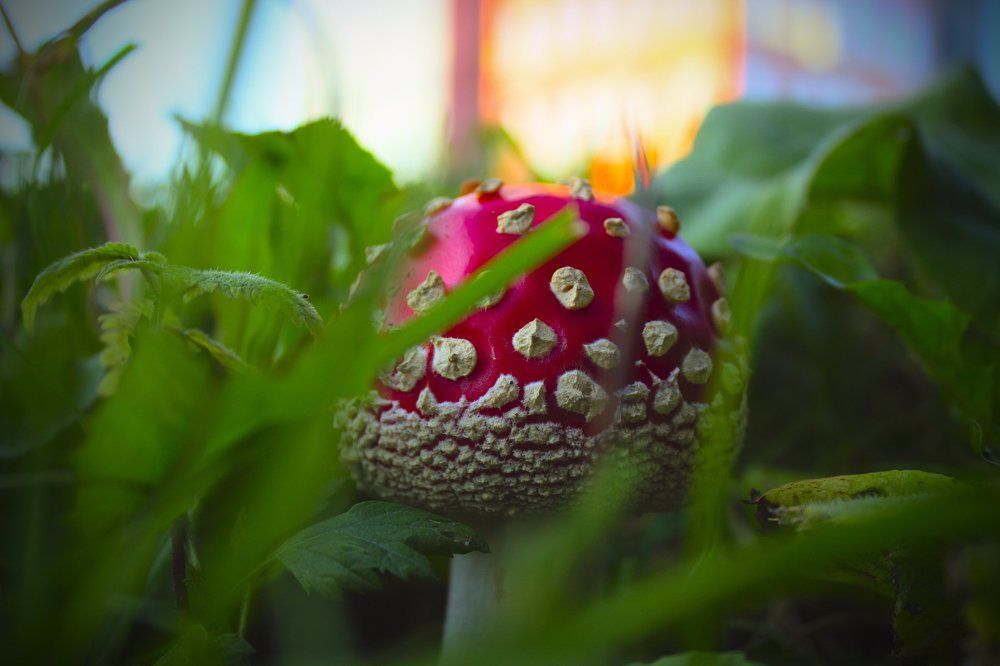 Photograph by Алексей Труханович