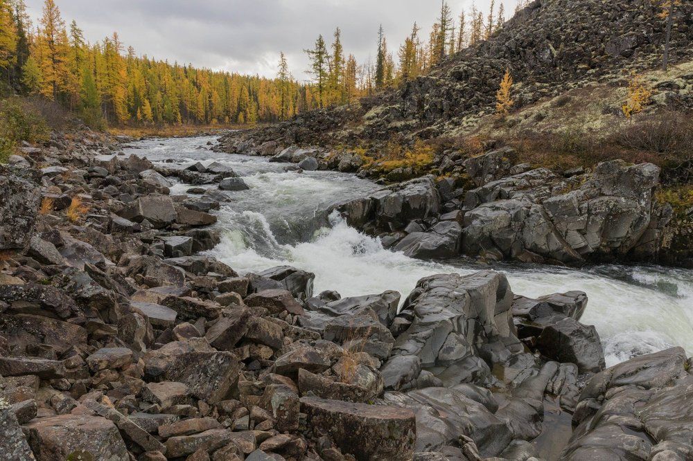 Сибирская осень. Туруханский край. Река Деленга.