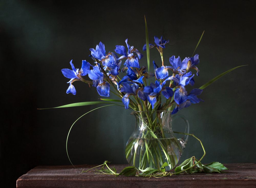 Натюрморт с синими ирисами