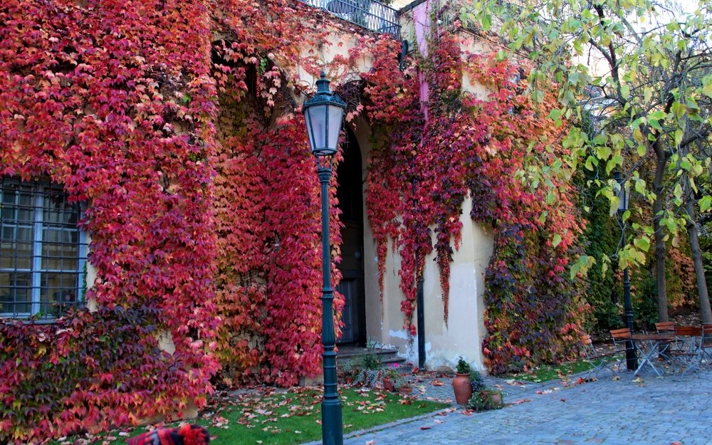 Пражский град