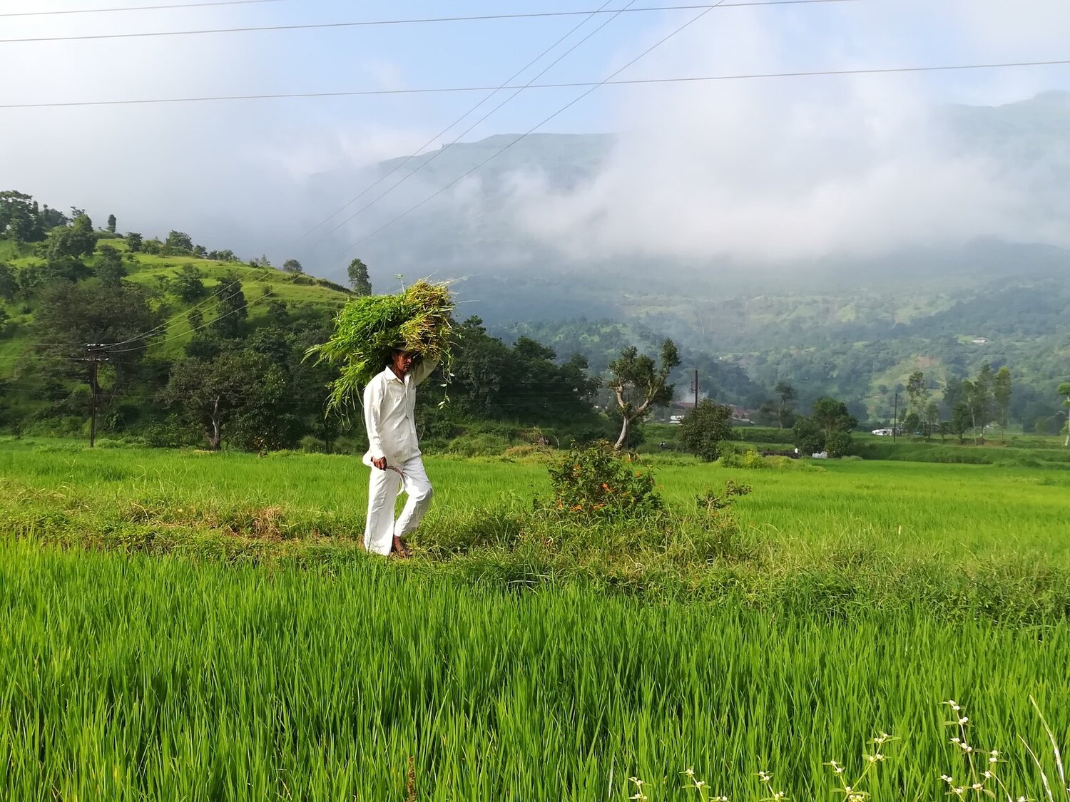 sync with nature