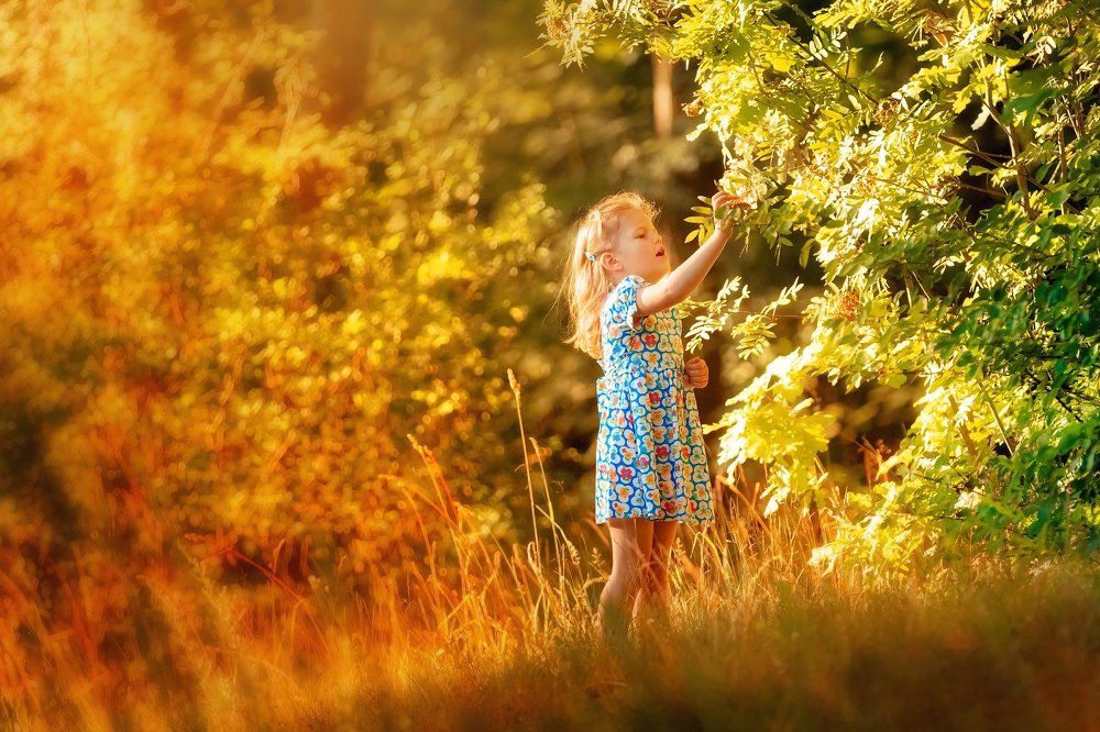 Photograph by Егорова Ника