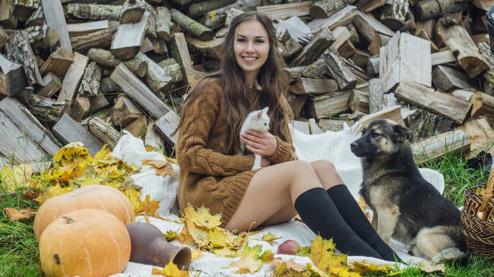 прохладная осень в окружении теплых друзей