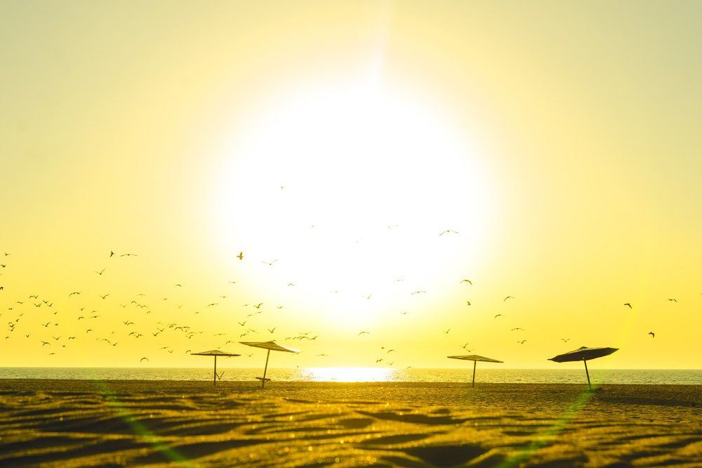 На рассвете