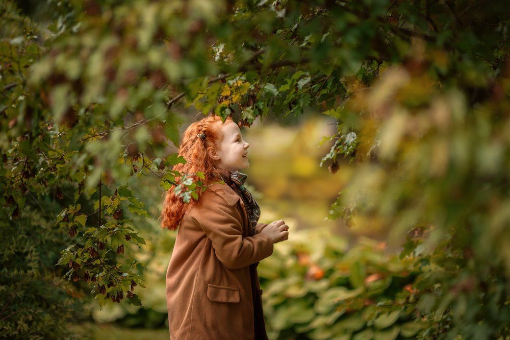 Под волшебным деревом