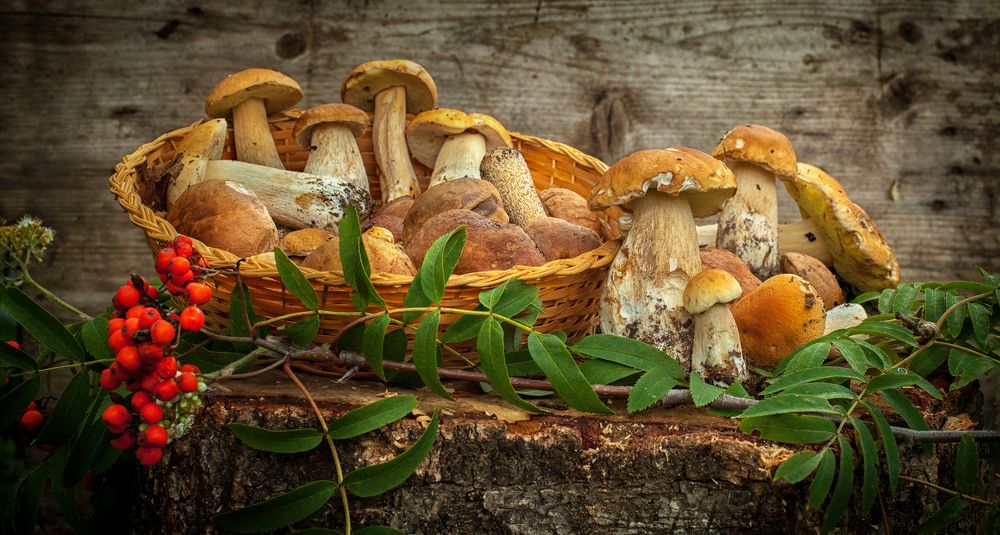 Осенняя пора в Подмосковье