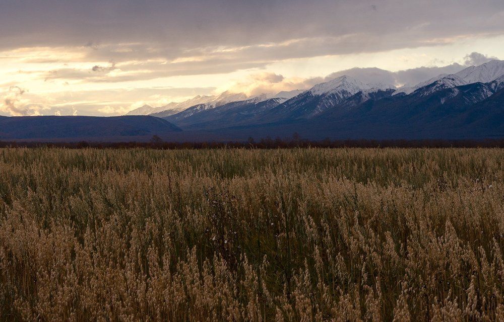 Восточный Саян