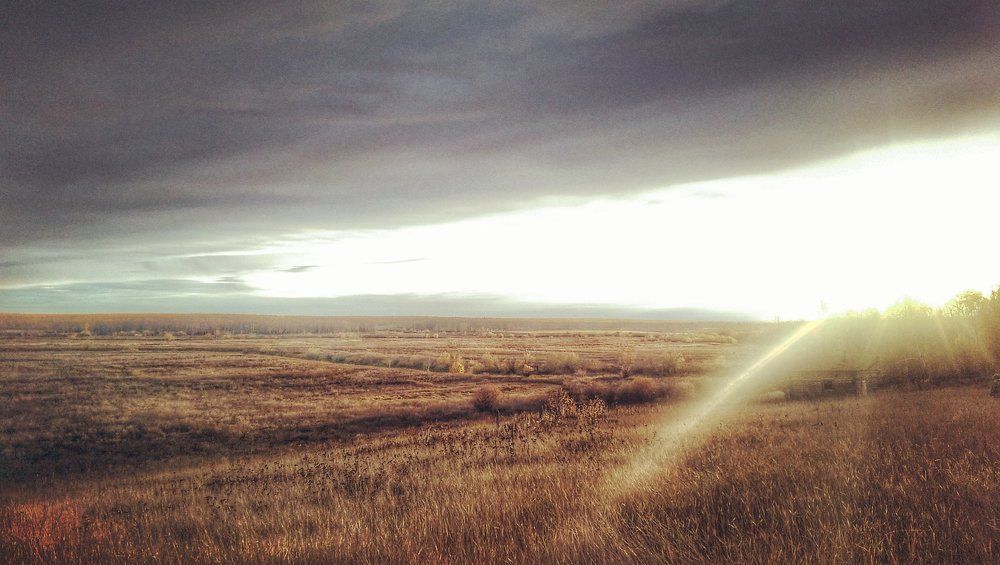 Осенний пейзаж