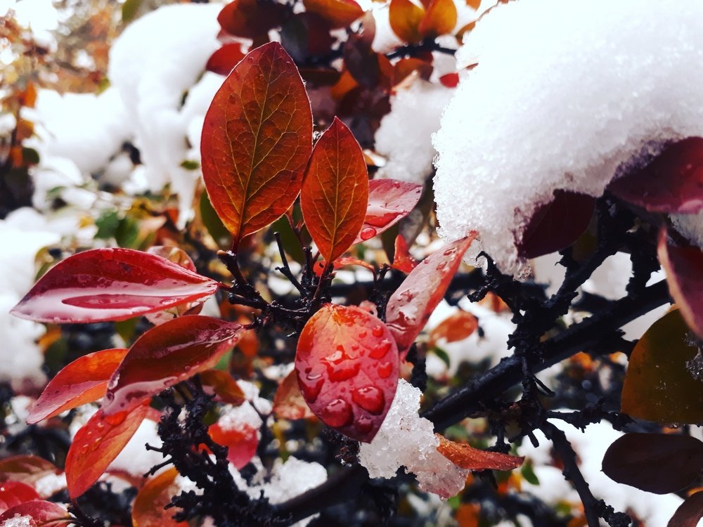 Photograph by Egor Novikov