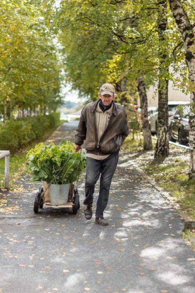 Продавец зелени
