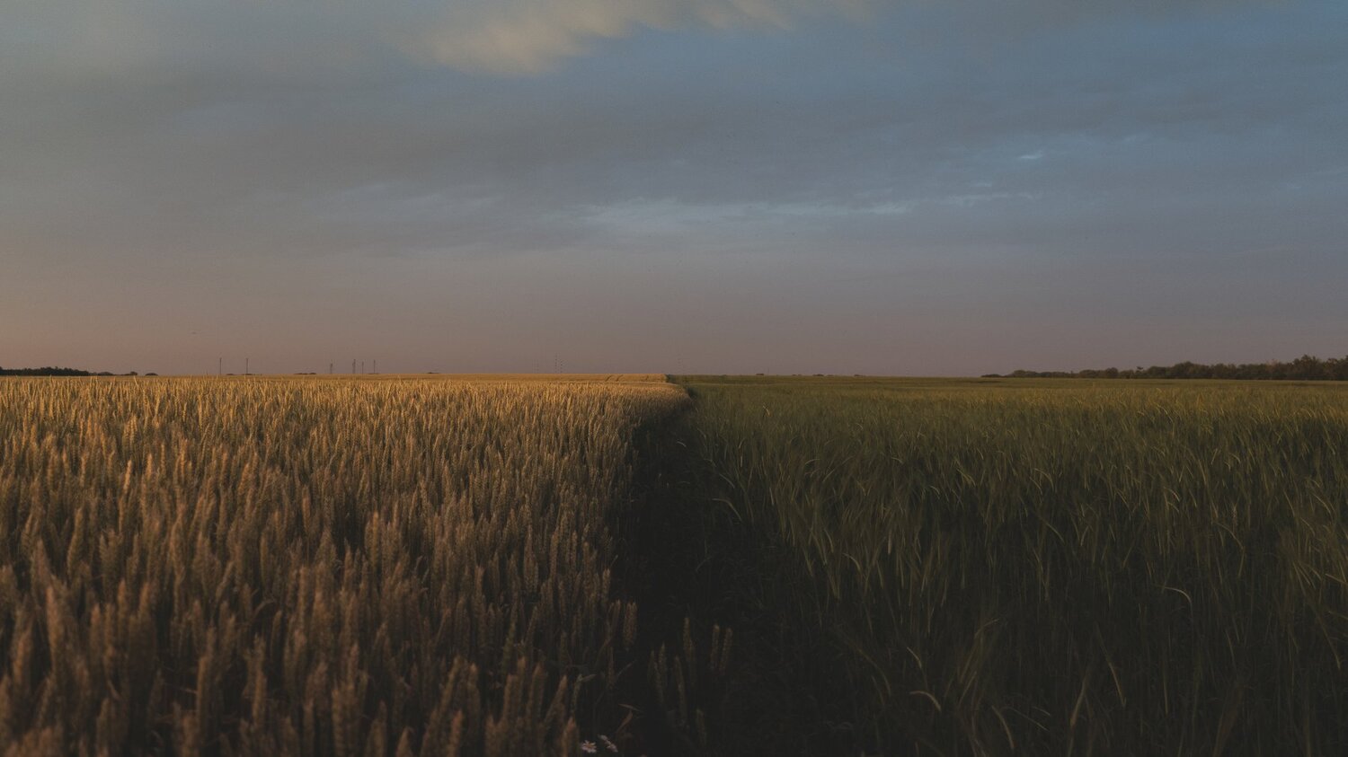 Ностальгия