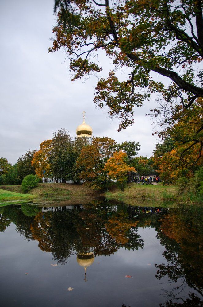 отражения осени