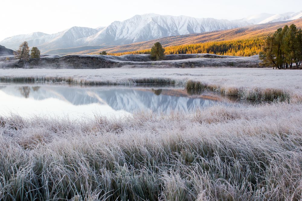 Утро на озере