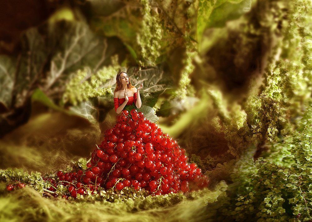 красная смородина