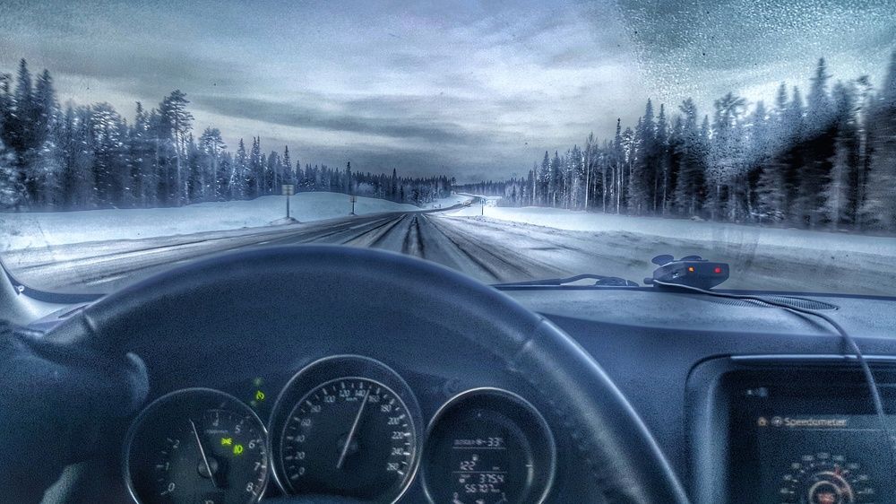 Дорога домой.