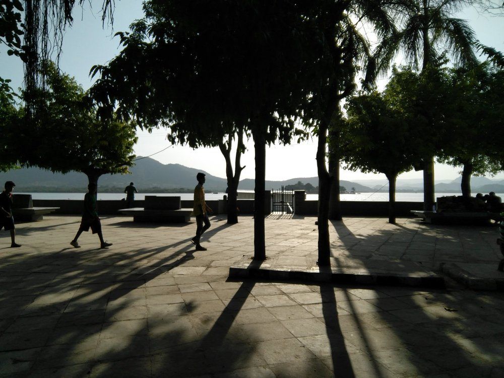 Long shadows