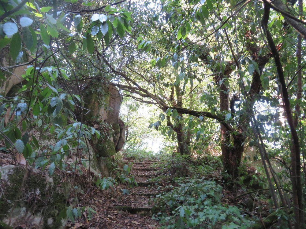 Sintra
